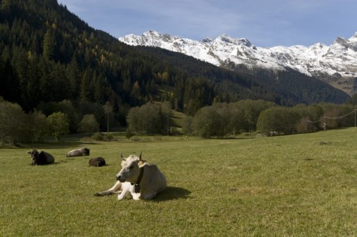 Sommerurlaub Ratschings - Südtirol